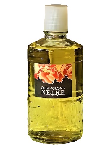 Neļķe (Гвоздика) Dzintars for women and men