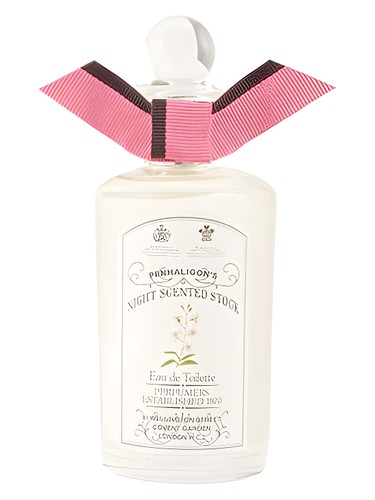 Night Scented Stock Penhaligon's
