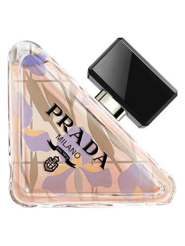 Paradoxe Orchidea Edition Prada