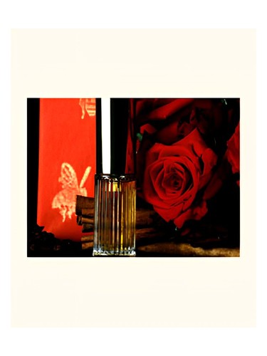 Poivre DSH Perfumes