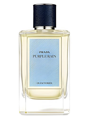 Purple Rain Prada for women and men