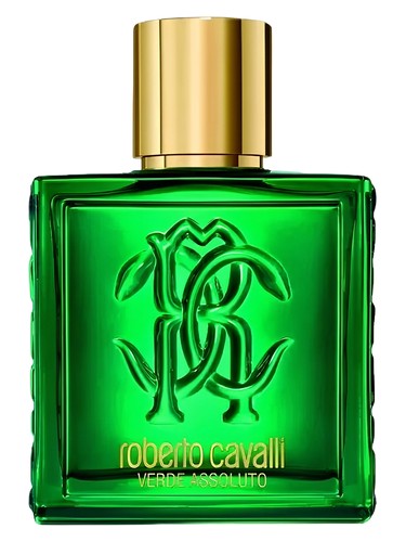 Roberto Cavalli Uomo Verde Assoluto Roberto Cavalli