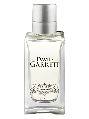 Rock Symphonies Man David Garrett