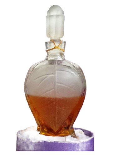Rīgas cēriņi (Рижская сирень) Dzintars