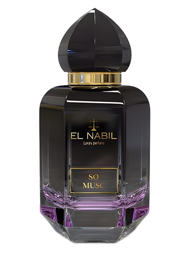 So Musk El Nabil