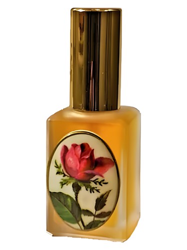 Solo Dzintars for women and men