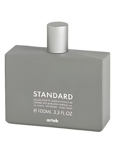 Standard Comme des Garcons