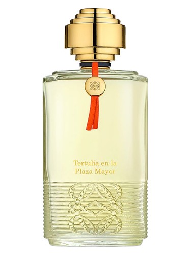Tertulia en la Plaza Mayor Loewe