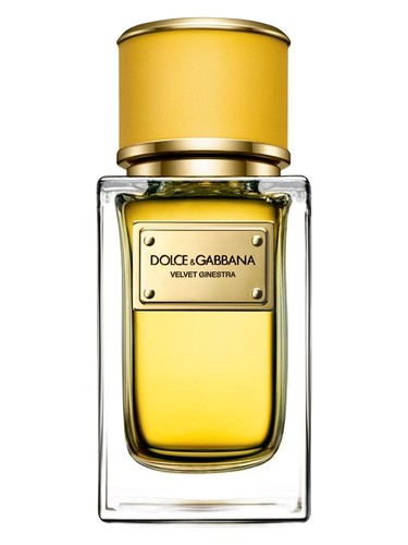 Velvet Ginestra Dolce&Gabbana