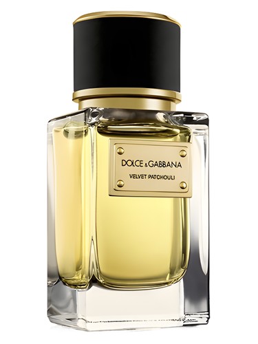 Velvet Patchouli Dolce&Gabbana