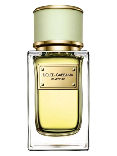 Velvet Pure Dolce&Gabbana