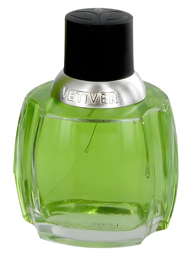 Vetiver Dana