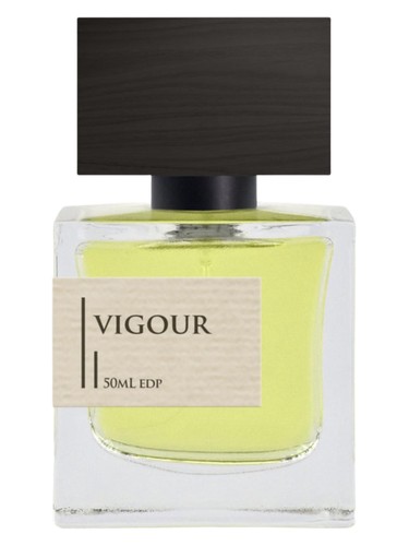 Vigour Criminal Elements