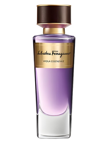 Viola Essenziale Salvatore Ferragamo for women and men