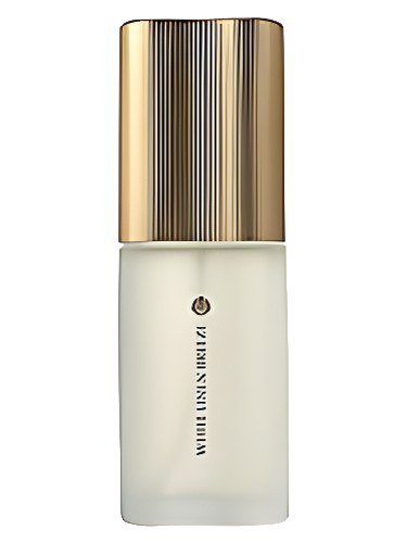 White Linen Breeze Estée Lauder