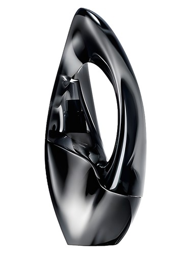 Woman Donna Karan