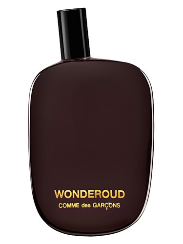 Wonderoud Comme des Garcons