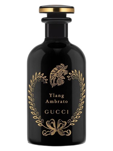 Ylang Ambrato Gucci
